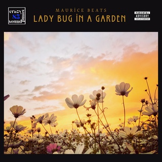 LADY BUG IN A GARDEN