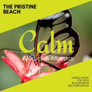 The Pristine Beach - Easing Music for Soul Rejuvenation and Purification