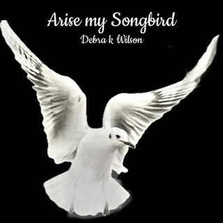 Arise My Songbird lyrics | Boomplay Music