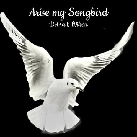 Arise My Songbird | Boomplay Music