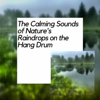 The Calming Sounds of Nature's Raindrops on the Hang Drum