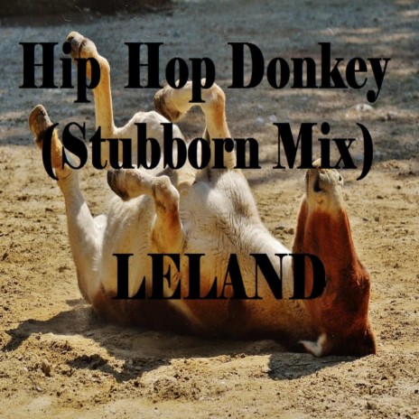 Hip Hop Donkey (Stubborn Mix) | Boomplay Music