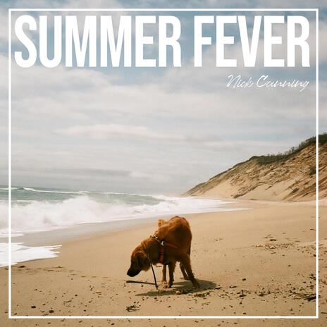 Summer Fever | Boomplay Music