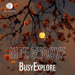 Nite Groove