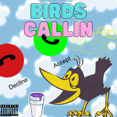 Birds Callin | Boomplay Music