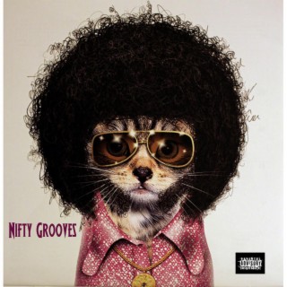 Nifty Grooves