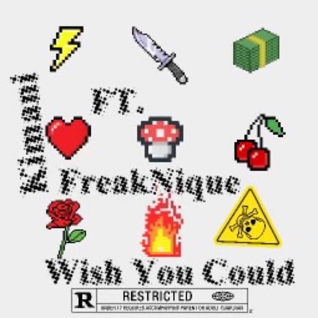 Wish You Could ft. FreakNique | Boomplay Music