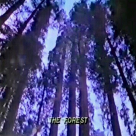 The Forest | Boomplay Music