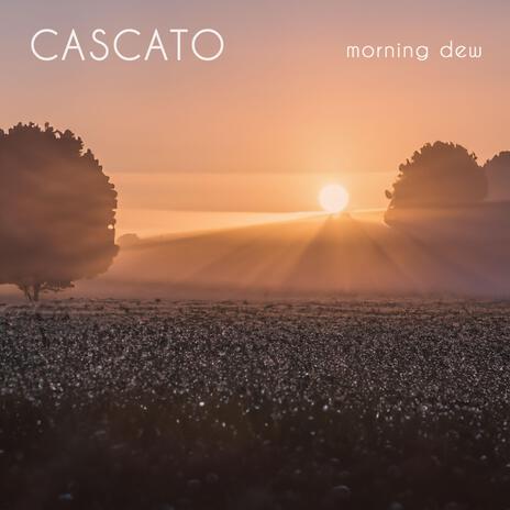 morning dew | Boomplay Music