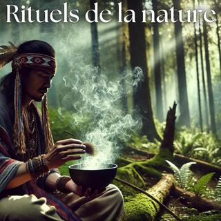 Rituels de la nature: Tambours chamaniques et sons terrestres de la nature pour l'ancrage et le centrage