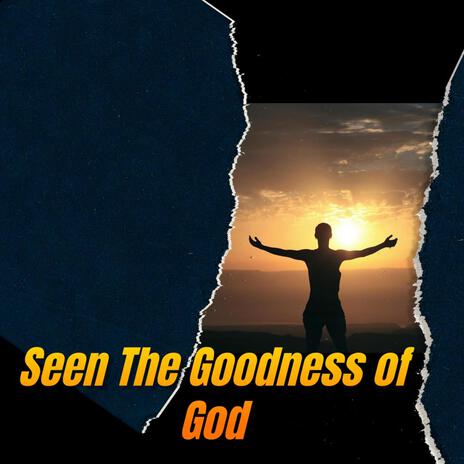 Seen The Goodness of God | Boomplay Music