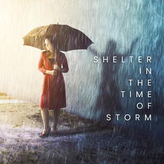 Shelter in the Time of Storm (Remix) lyrics | Boomplay Music