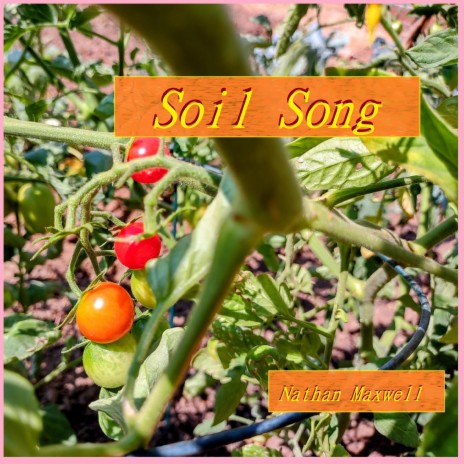 Soil Song | Boomplay Music