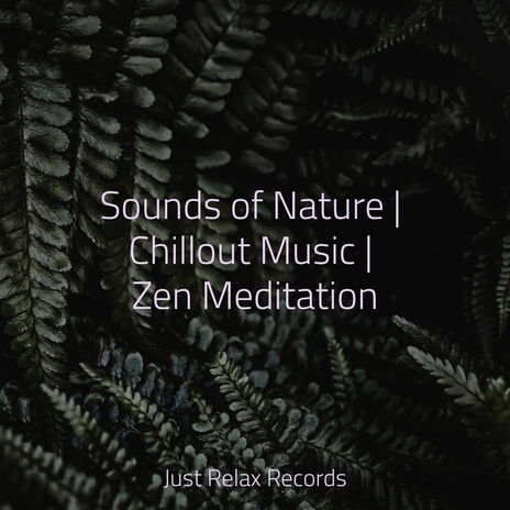 Enchanting Valley Hymn ft. CANCIONES DE CUNA & Lullabies for Deep Meditation | Boomplay Music