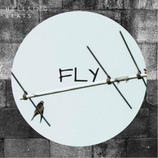 Fly