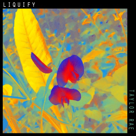 Liquify | Boomplay Music