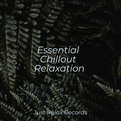 Echoes in Empty Harmony ft. Sonidos de la Naturaleza Relajacion & Relaxing Spa Music | Boomplay Music