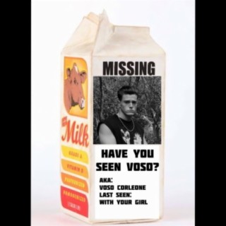Have You Seen VOSO?