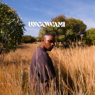 UNGOWAMI lyrics | Boomplay Music