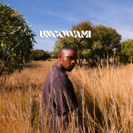 UNGOWAMI | Boomplay Music