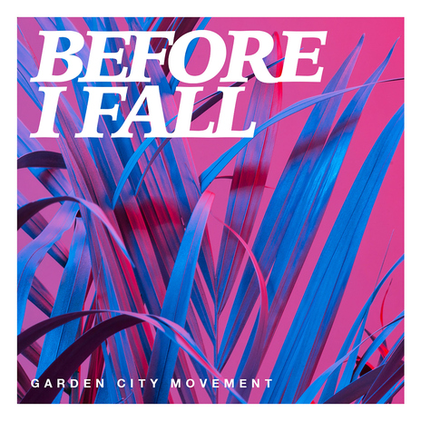 Before I Fall | Boomplay Music