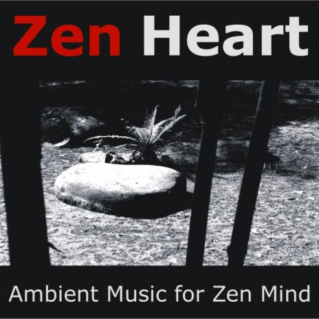 Zen Warrior ft. Johann Kotze | Boomplay Music