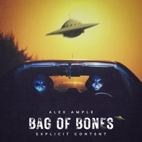 BAG OF BONES
