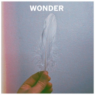 Wonder, Pt. 1