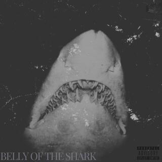 BELLY OF THE SHARK