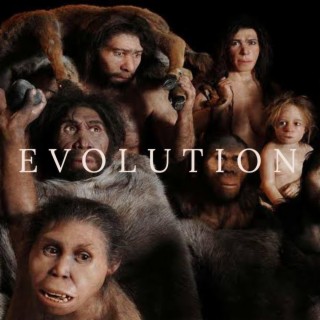 EVOLUTION lyrics | Boomplay Music