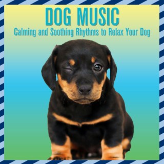 Dog Music: Calming and Soothing Rhythms to Relax Your Dog
