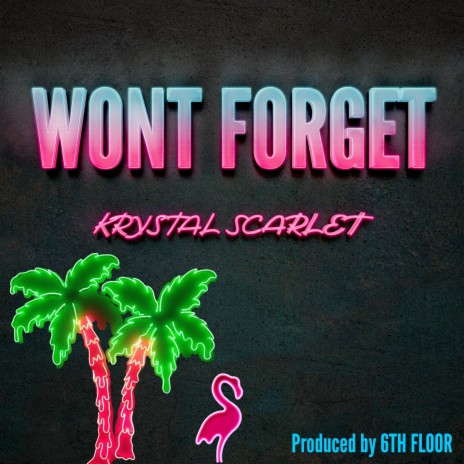 Won't Forget ft. 6th floor | Boomplay Music