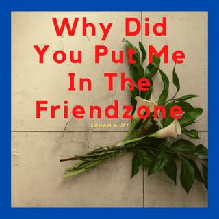 Why Did You Put Me In The Friendzone