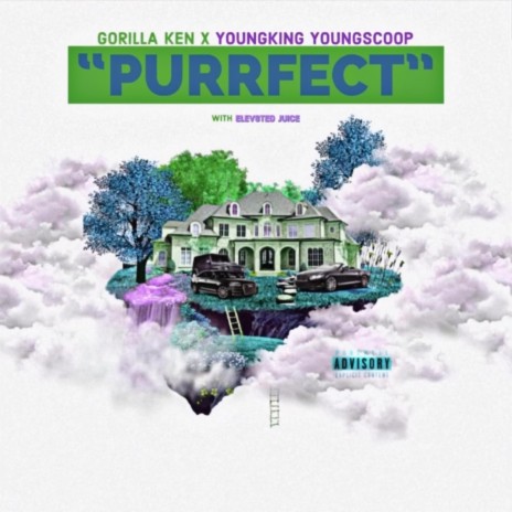 Purrfect ft. YoungKing YoungScoop