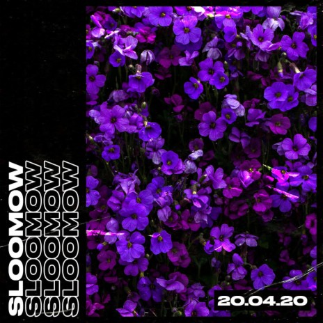 PURPLE | Boomplay Music