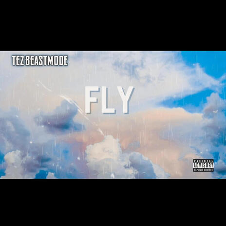 FLY | Boomplay Music