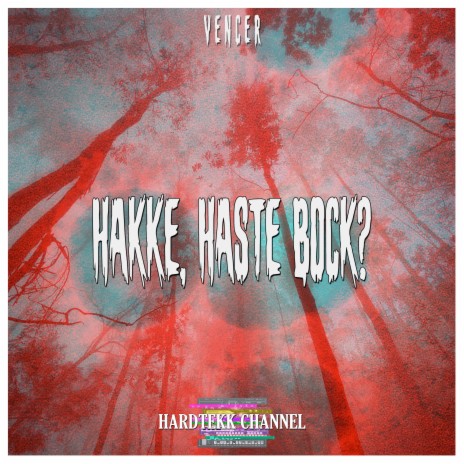 Hakke, Haste Bock? ft. VenceR