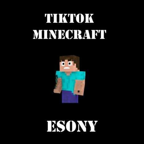 TikTok Minecraft | Boomplay Music