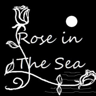 Rose In The Sea