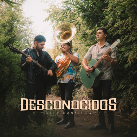 Desconocidos | Boomplay Music