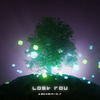 Lost You