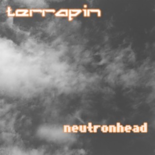 Neutronhead