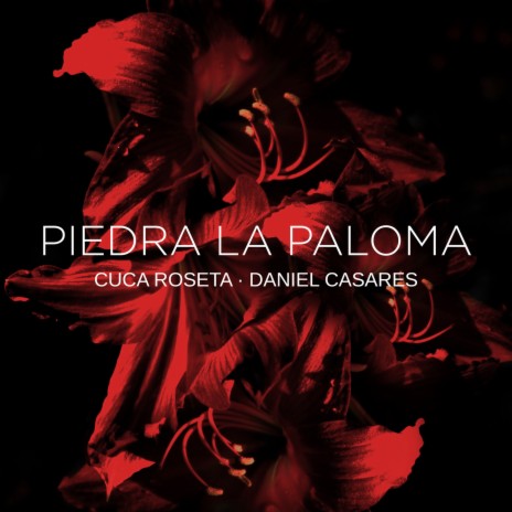 Piedra la Paloma ft. Daniel Casares | Boomplay Music