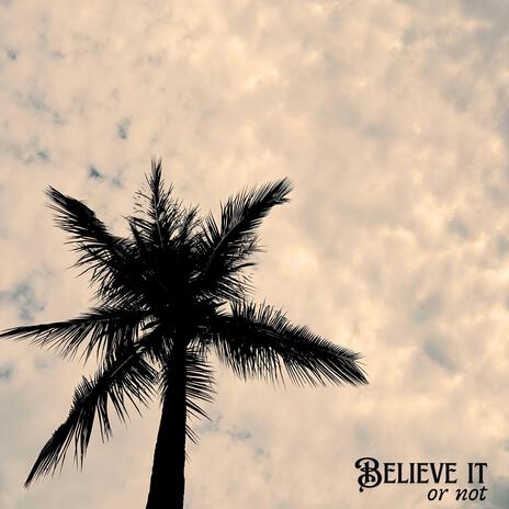 BELIEVE IT OR NOT | Boomplay Music