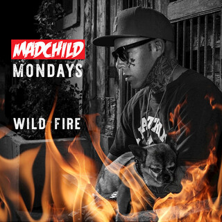 Wild Fire