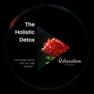 The Holistic Detox - Soothing Music for Spa and Therapy