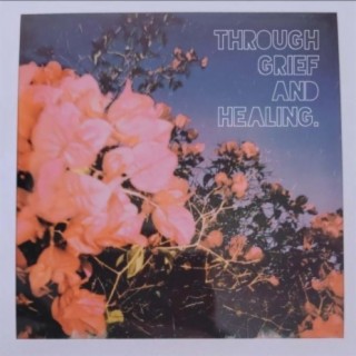 Through Grief and Healing (Single)