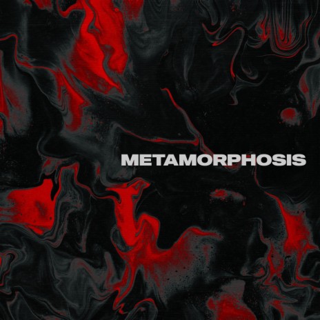 METAMORPHOSIS | Boomplay Music