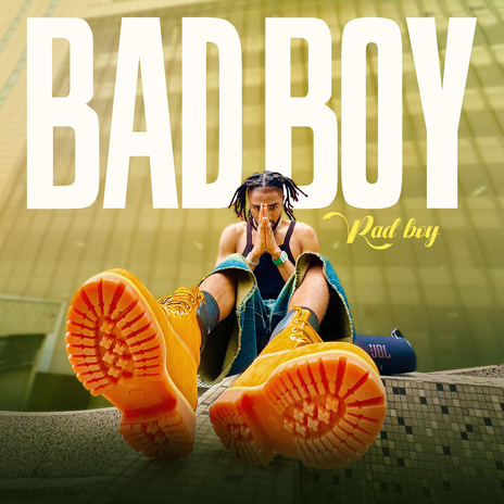 Bad Boy | Boomplay Music