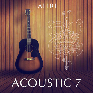 Acoustic, Vol. 7